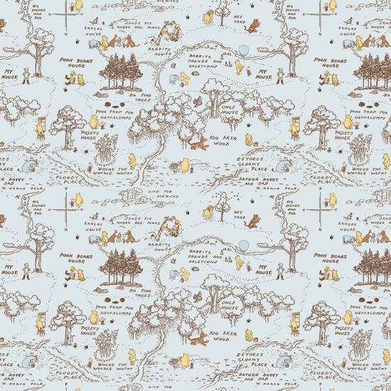 Winnie the Pooh Baby